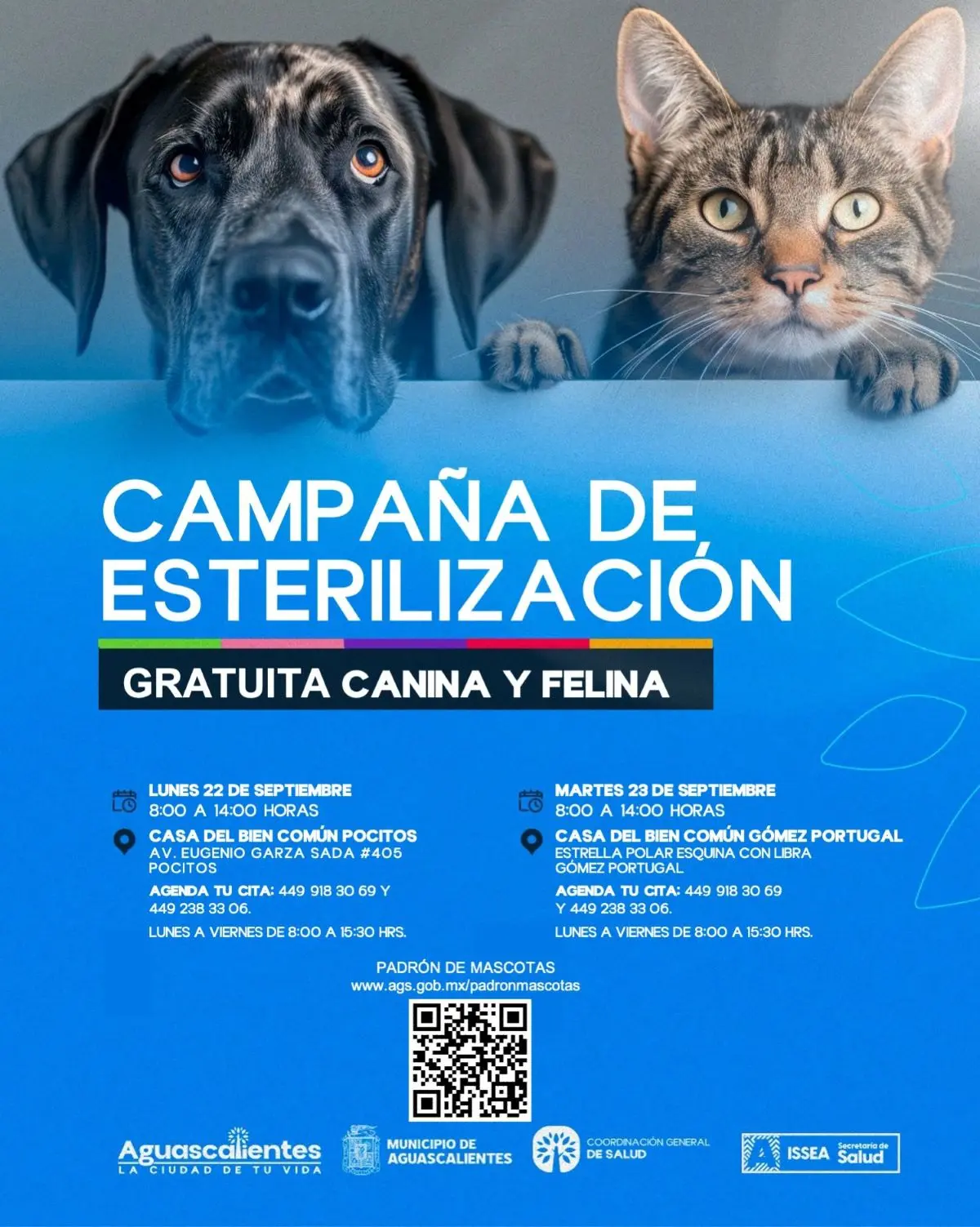 Dónde se hace el registro para el padrón de las mascotas en Aguascalientes. Foto: Cortesía