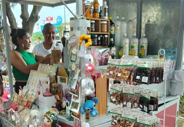 Mujeres emprendedoras de Navolato exhiben sus productos en la Carreta Mujer Productiva