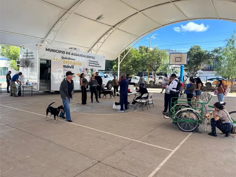 Nuevas jornadas de esterilizaciones gratuitas en Aguascalientes