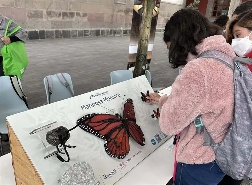 Actividades ambientales para niñas y niños. Foto: Cortesía.