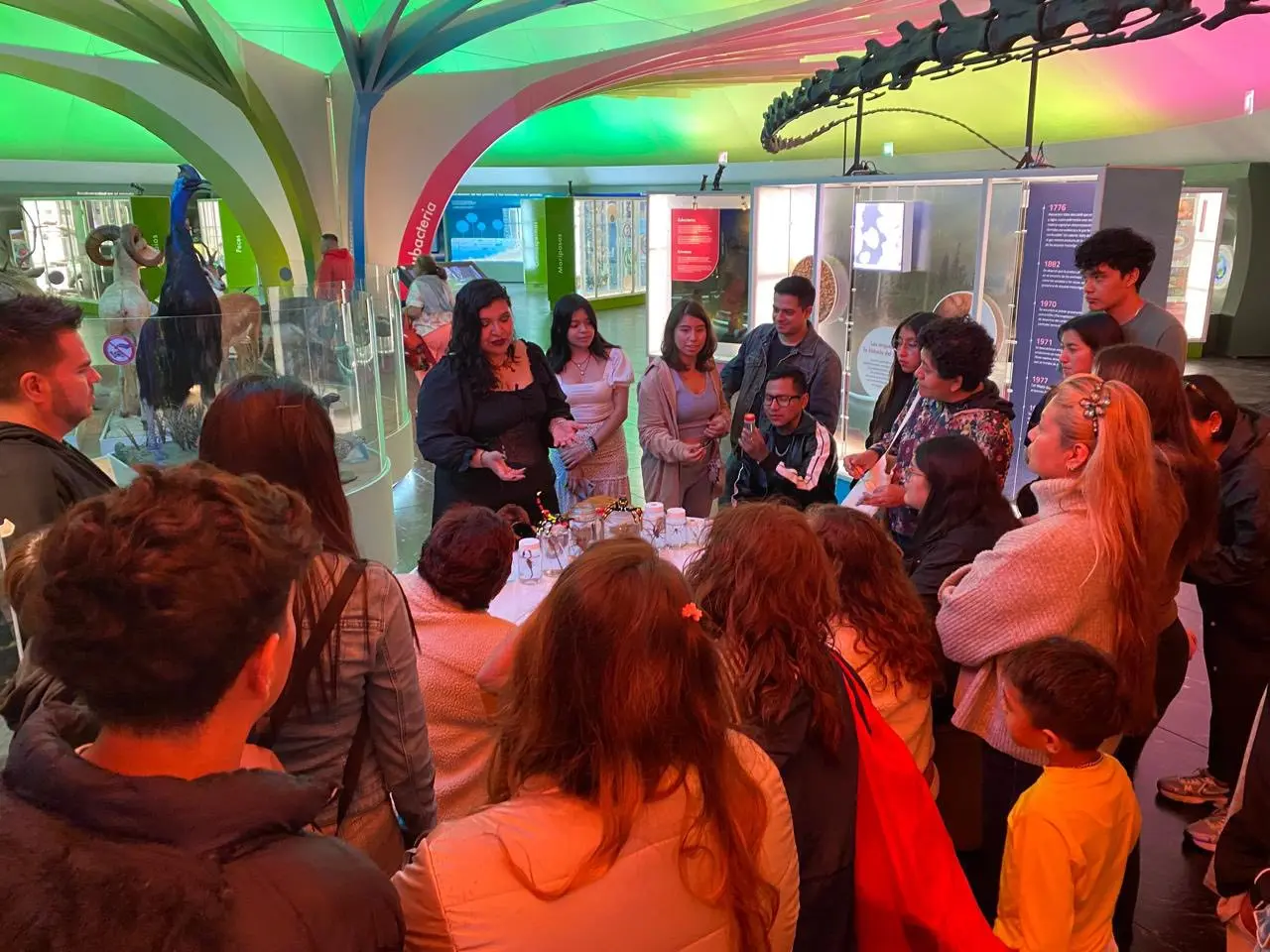 Distintas actividades del Museo de Historia Natural y Cultura Ambiental. Foto: Cortesía.