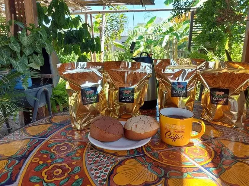 Sabroso café artesanal elaborado en San Ignacio, Sinaloa.