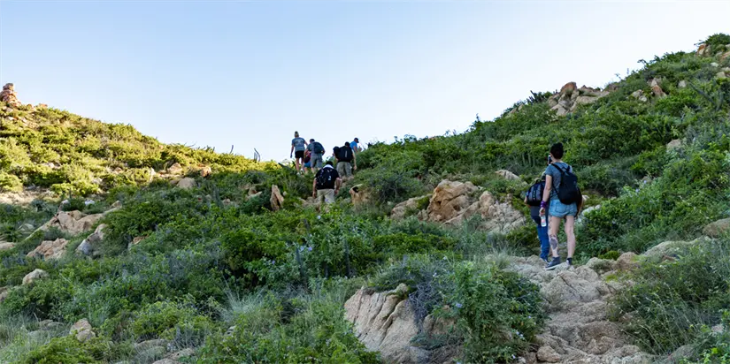 Uno de los mejores horarios para subir el cerro es el atardecer. Foto: Villa del Arco Beach Resort & Spa Cabo San Lucas.