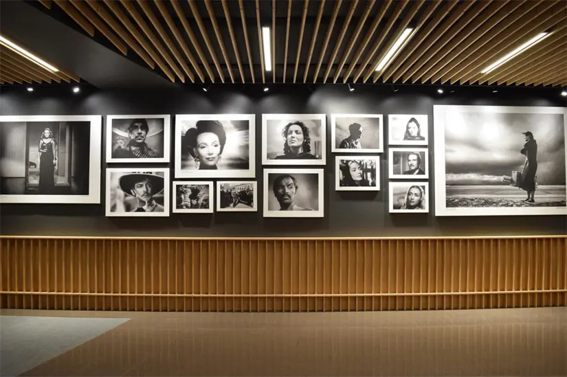 Interior de la Cineteca Nacional. Foto: Cortesía.