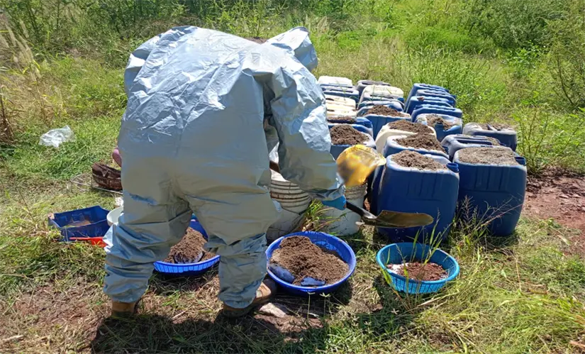 Con este aseguramiento se estima un golpe de 150 mdp al narco en Sinaloa. Foto: SSPC