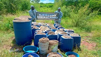 Golpe al narco en Sinaloa por 150 mdp: aseguran sustancias químicas en Badiraguato, Culiacán y Cosalá
