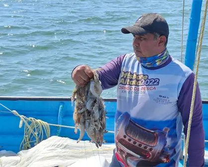 Inicio de temporada de pesca de camarón en la Bahía de Altatan tiene mejores resultados que en 2024