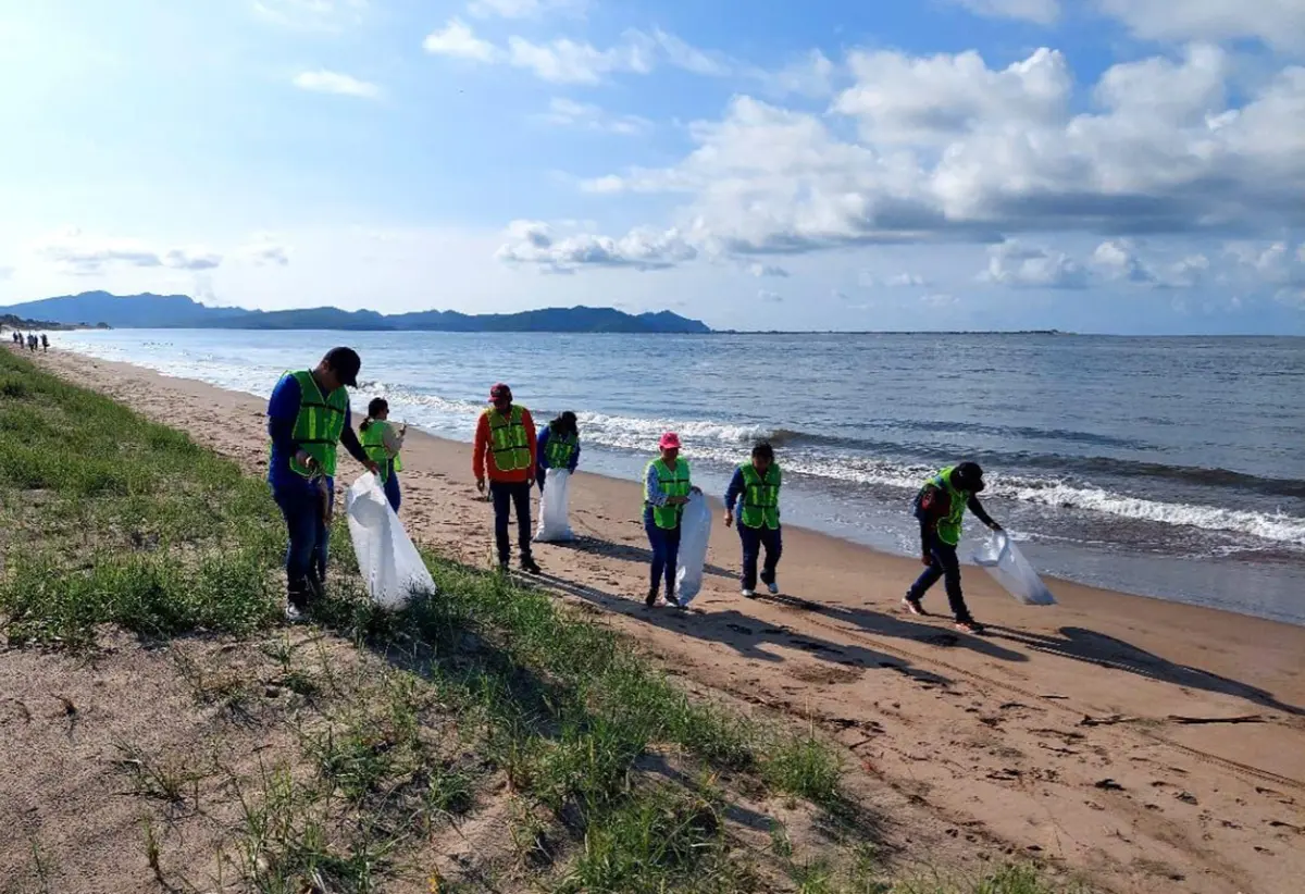 Gobierno de Ahome y voluntarios limpian playa El Maviri en Ahome.