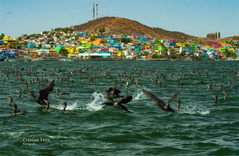 Topolobampo. Foto: Cristian Félix