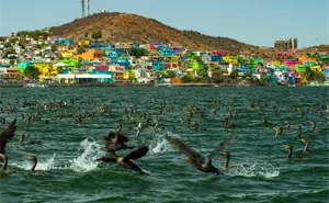 Topolobampo se prepara para el Torneo Ahome Fish 2025 con premios de hasta $20,000