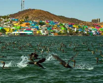 Topolobampo se prepara para el Torneo Ahome Fish 2025 con premios de hasta $20,000