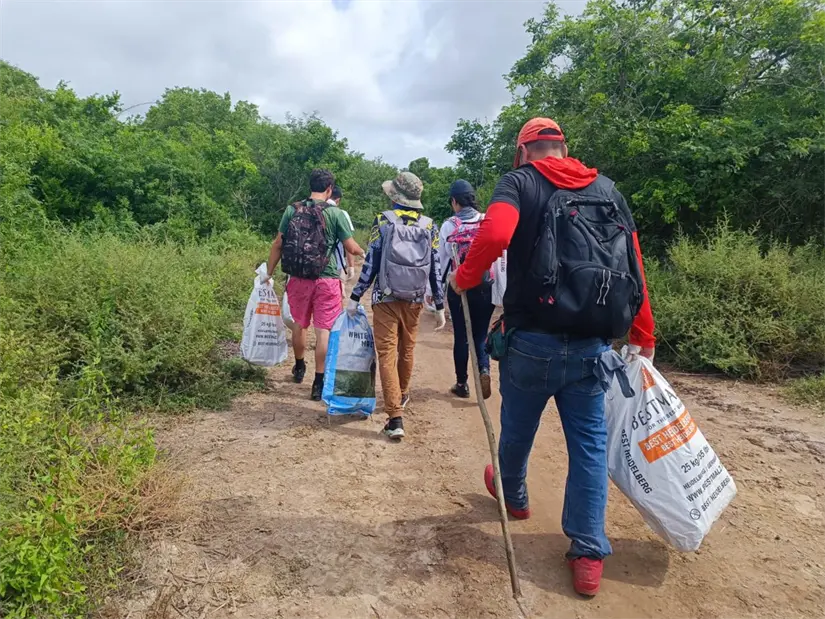 Mazatlán impulsa acciones sostenibles con “Cuidemos los Manglares” y Café Científico