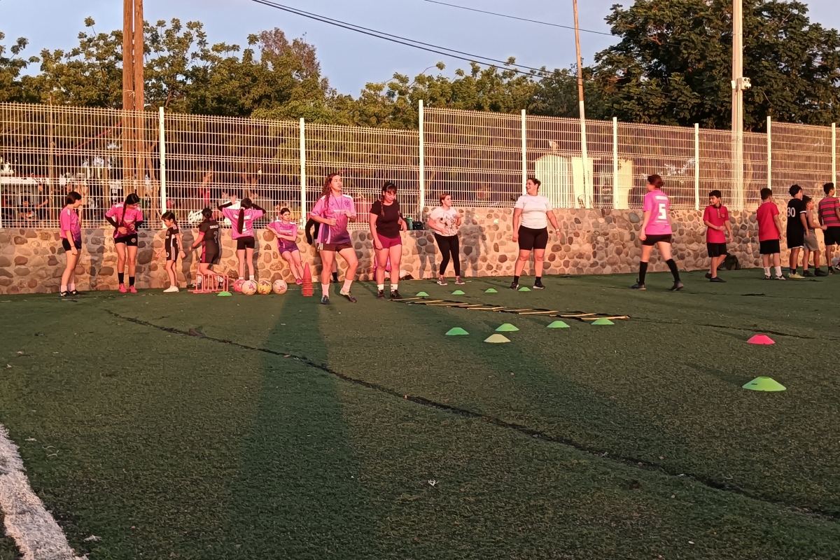 Imagen 6