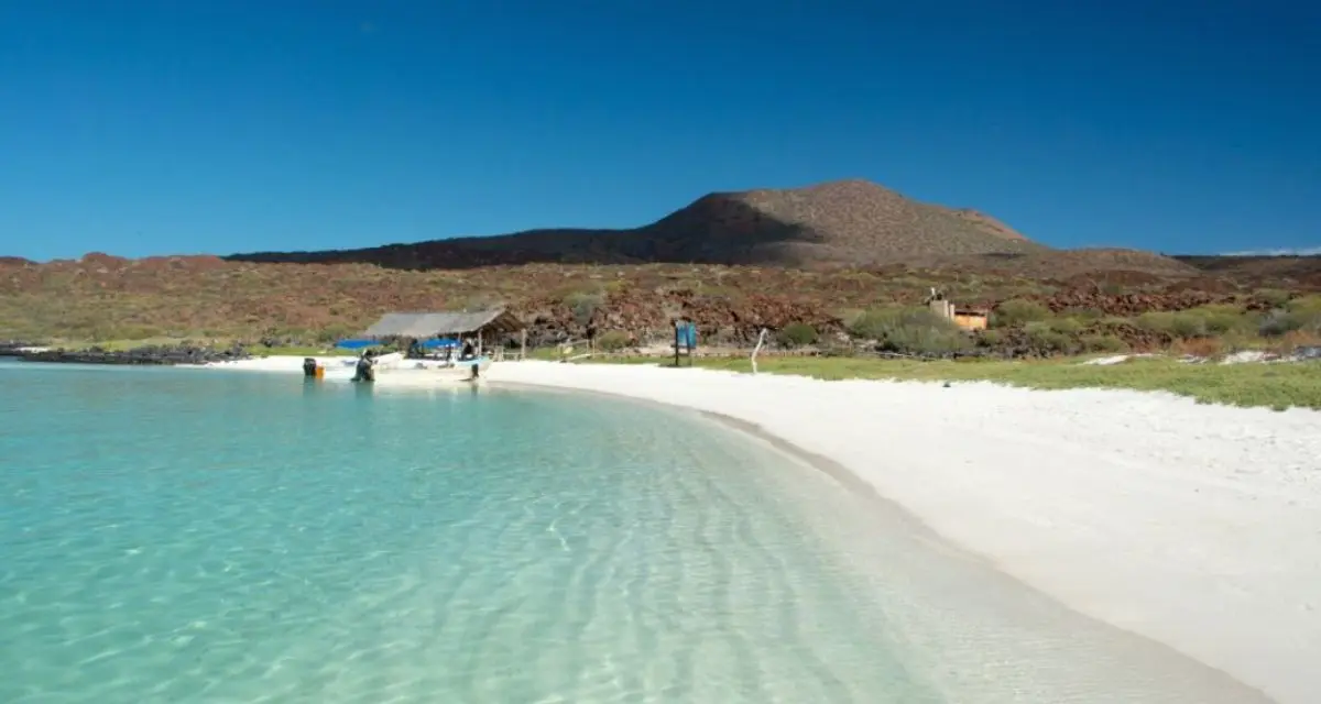 Conoce las actividades que puedes hacer en estas 3 playas de Baja California. Foto: cortesía