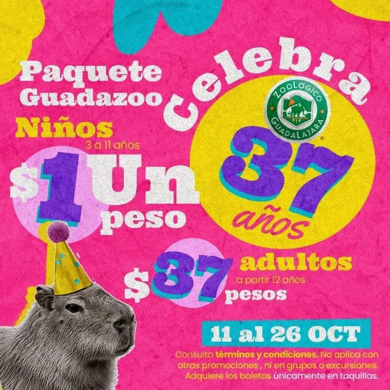 Disfruta de las atracciones del Zoológico Guadalajara en su aniversario 37. Foto: Cortesía.