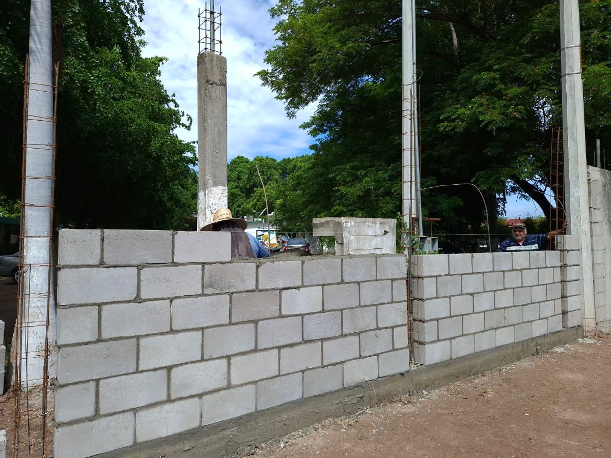 Imagen 2