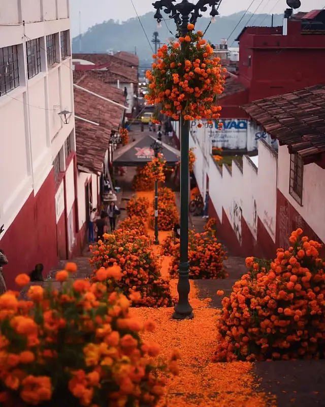 Tacámbaro conocido por crear el altar más grande de Michoacán. Foto: Cortesía.