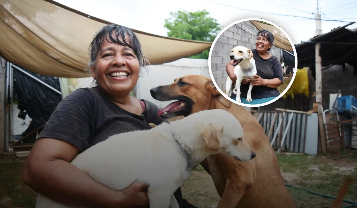 Rosy dedica su vida a 23 perritos rescatados; con amor y solidaridad lucha por su bienestar e invita a sumarse a su misión. Foto: Lino Ceballos