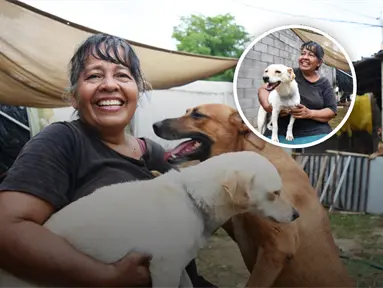 Rosy Cortez, ejemplo de nobleza y empatía: su amor convierte el sacrificio en esperanza para 23 perritos en Culiacán