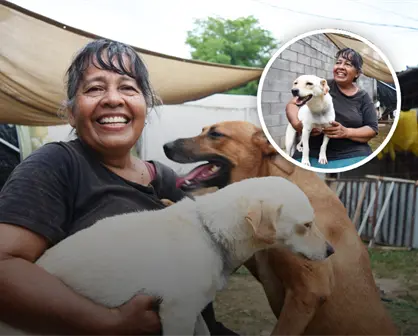 Rosy Cortez, ejemplo de nobleza y empatía: su amor convierte el sacrificio en esperanza para 23 perritos en Culiacán