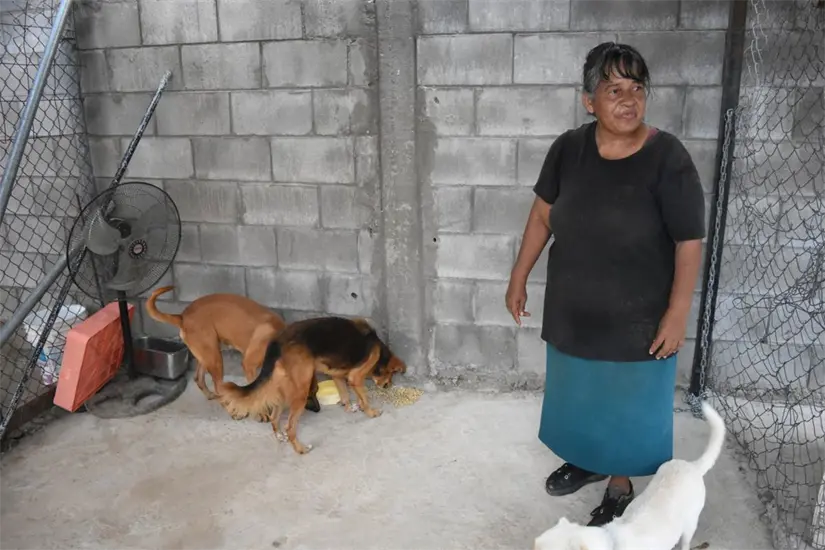 Cuando la bondad guía los pasos y deja huella: Rosy y su misión de rescatar a los más vulnerables y no tienen voz. Foto: Lino Ceballos
