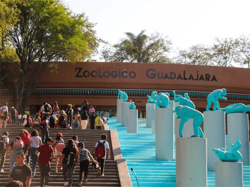 Del 11 al 26 de octubre disfruta de la promoción del Zoológico de Guadalajara. Foto: Cortesía.