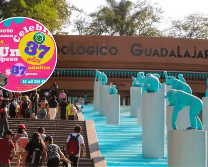 Zoológico Guadalajara ofrece entradas a 1 peso para celebrar su aniversario 37. ¿Cuándo empieza la promoción?