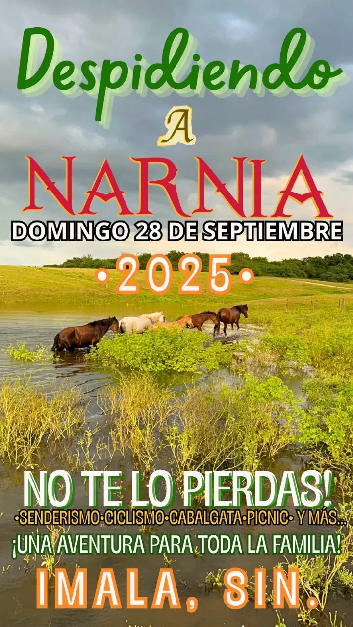 imagen recuadro