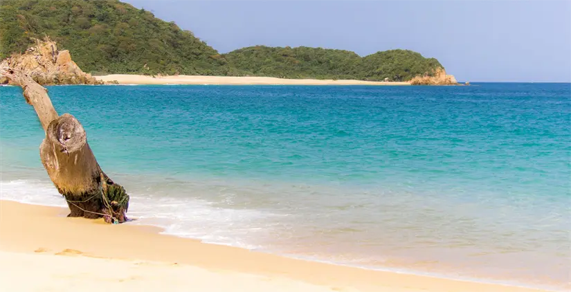 Disfruta de la bella Playa Maguey. Foto: Flickr.