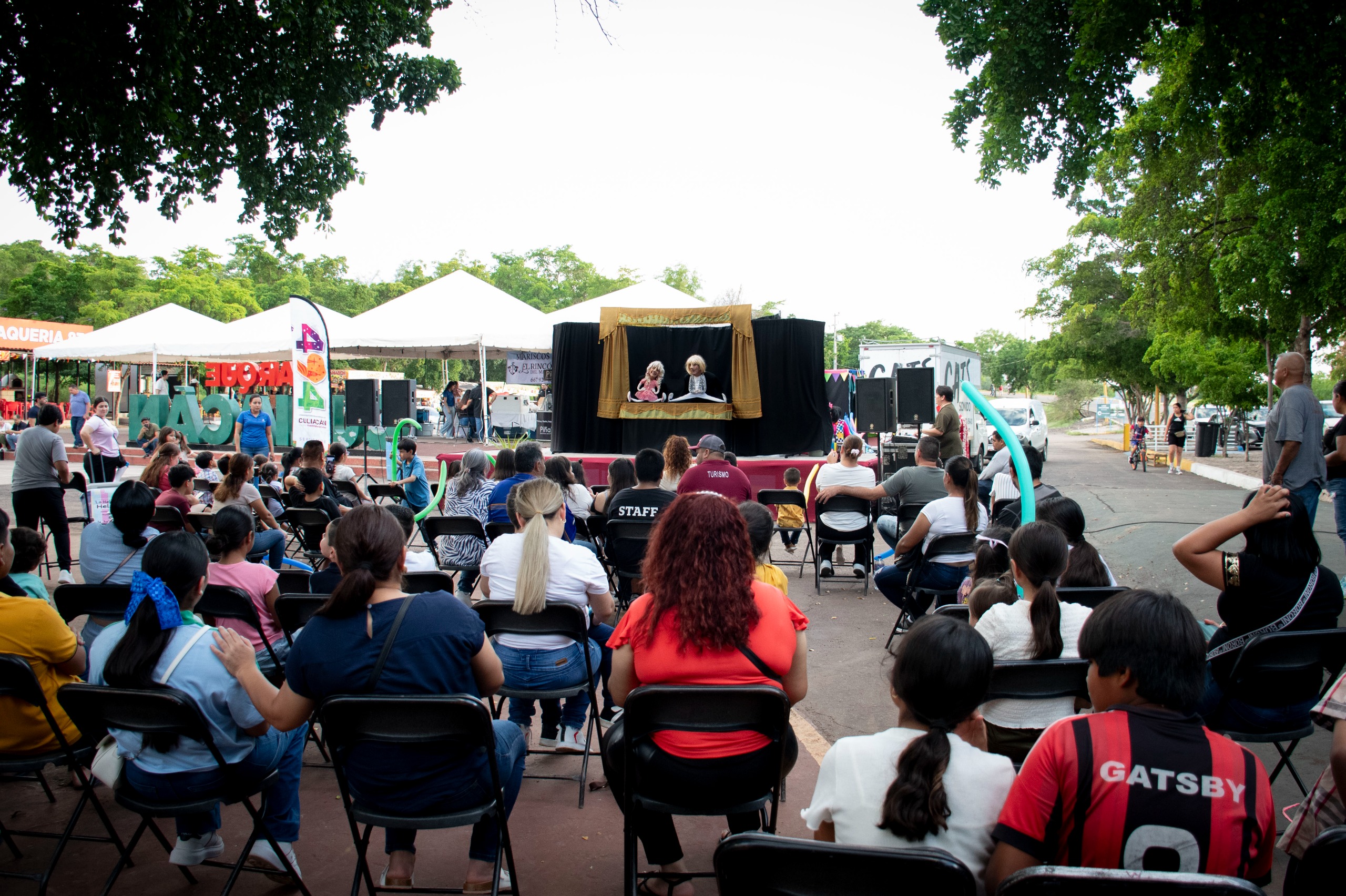 Imagen 5