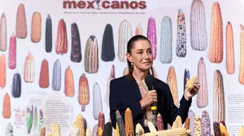 Claudia Sheinbaum en La Mañanera: México protege el maíz nativo y prohíbe el transgénico