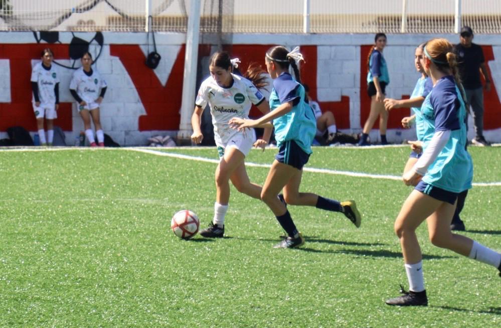 Imagen 7