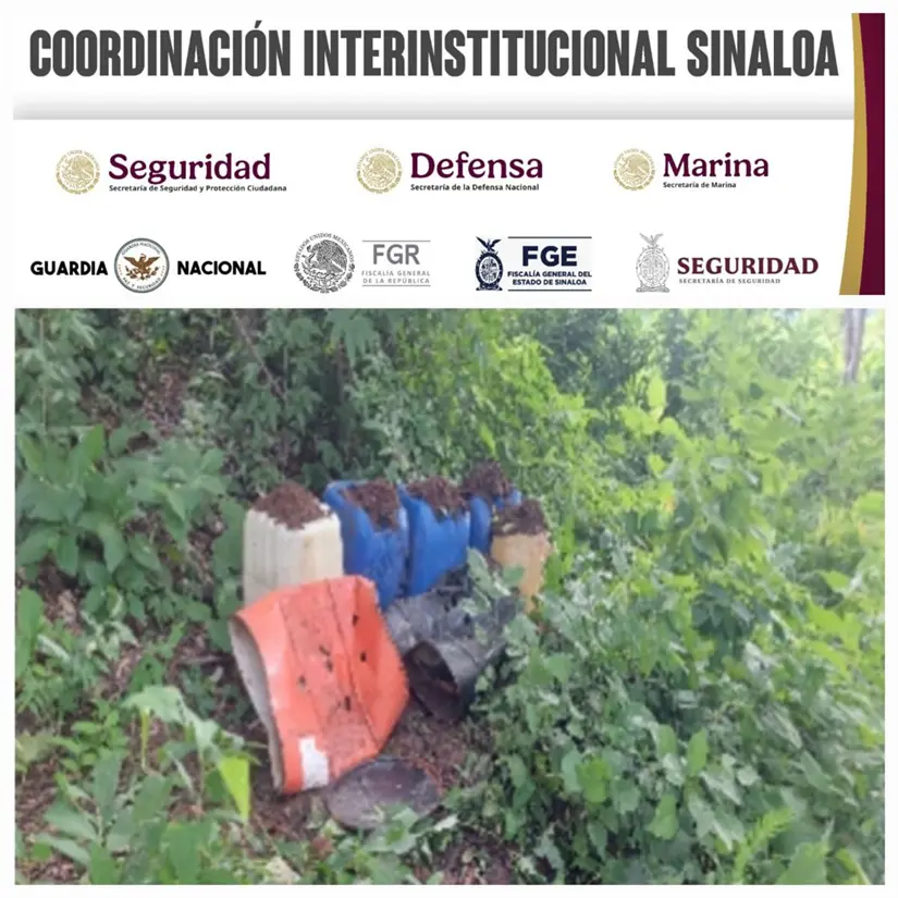 Destruyen laboratorios clandestinos y químicos en Sinaloa
