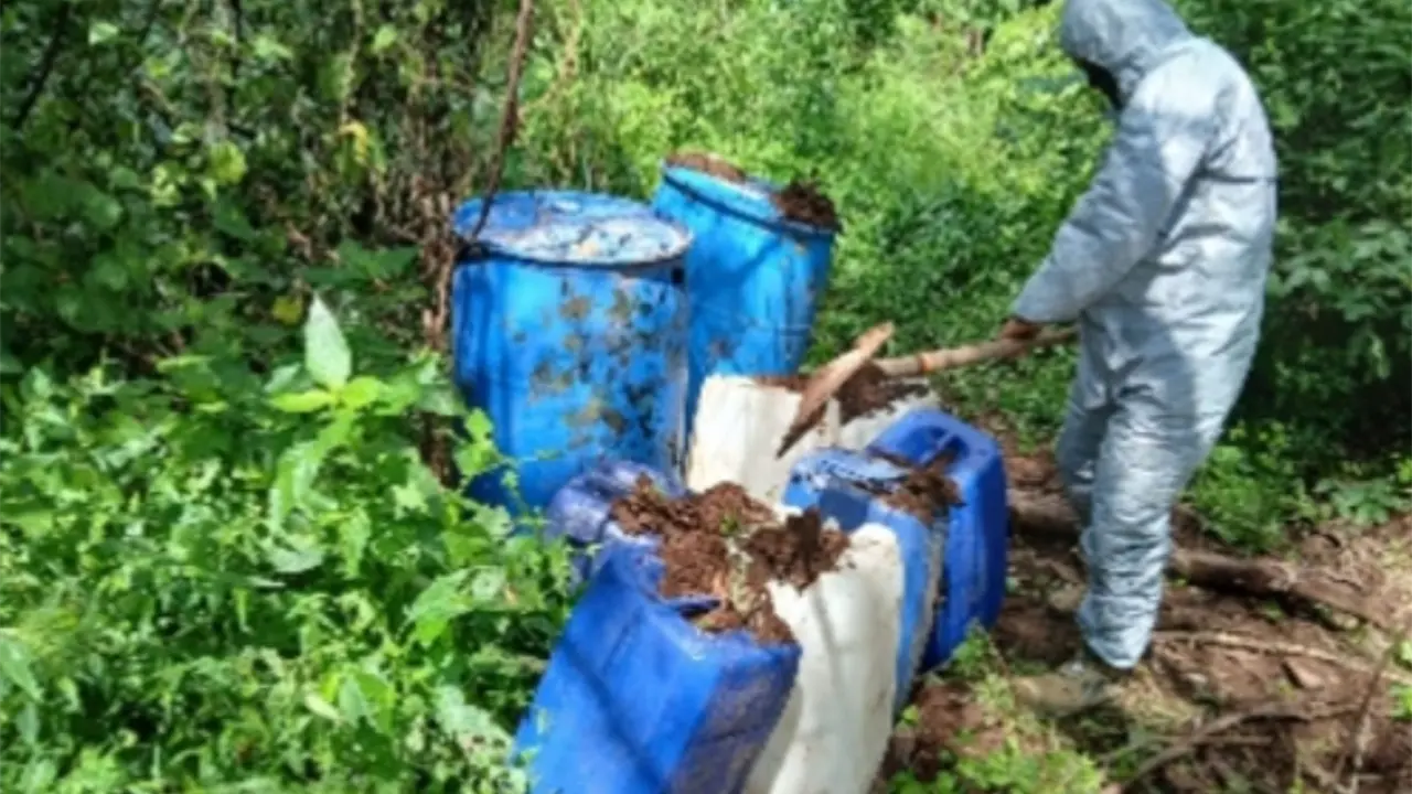Desmantelan áreas de químicos y un campamento en Concordia, Culiacán, Cosalá y Elota.