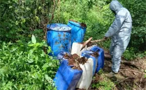 Golpe al narco en Sinaloa: desmantelan áreas de químicos y un campamento en Concordia, Culiacán, Cosalá y Elota
