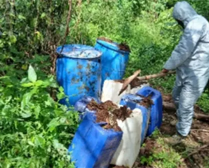 Golpe al narco en Sinaloa: desmantelan áreas de químicos y un campamento en Concordia, Culiacán, Cosalá y Elota