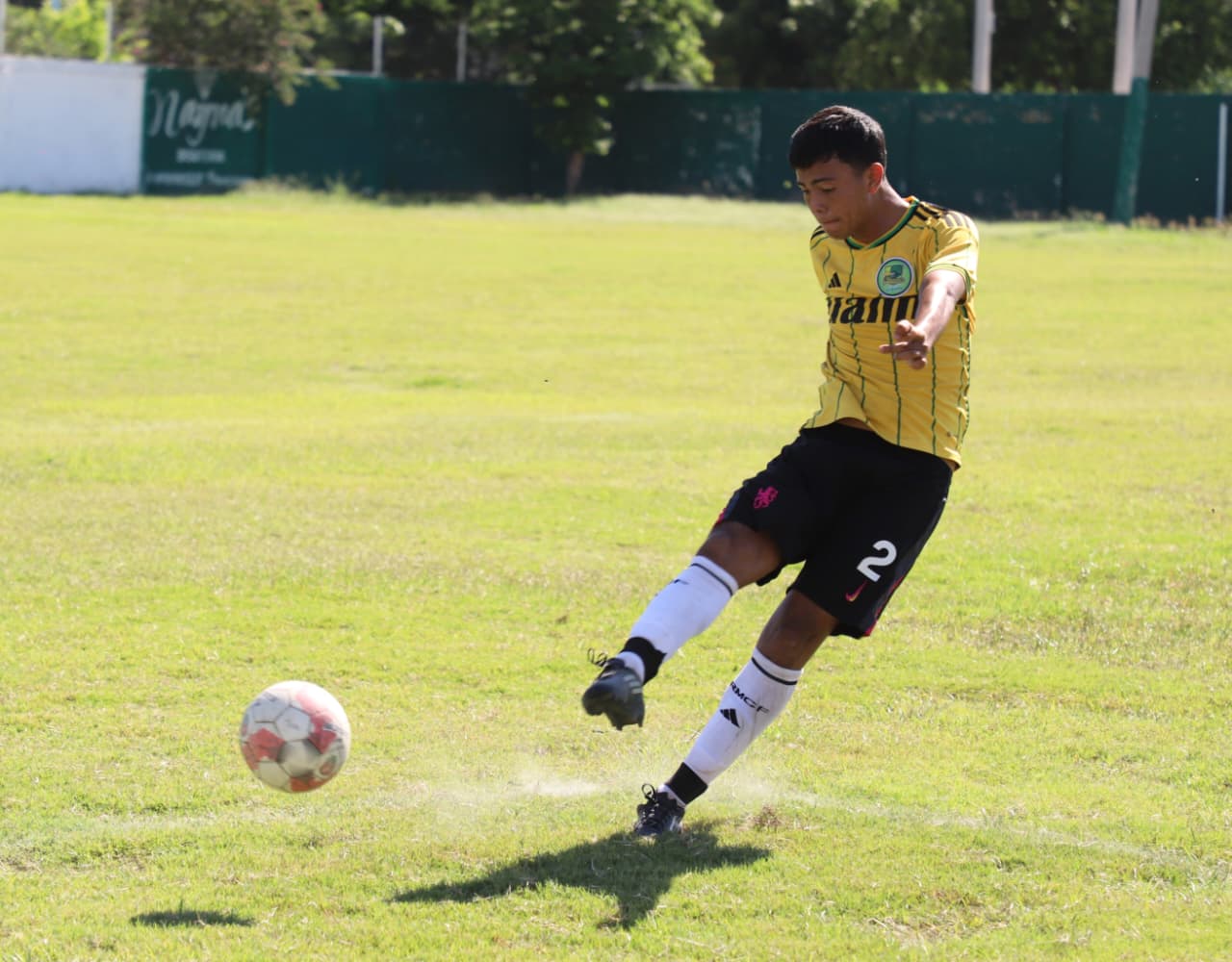 Imagen 4