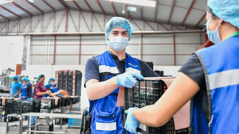 Más de 27 mil 800 personas obtuvieron un empleo y 18 mil 700 fueron capacitadas. Foto: Gob. de Aguascalientes