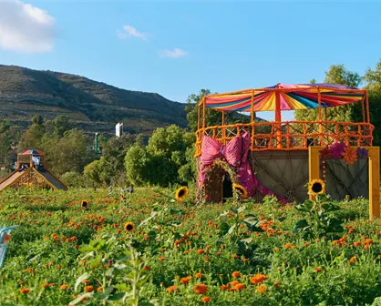Mictlán, Campo Mágico, el parque temático del Día de Muertos que ya brilla en Tijuana