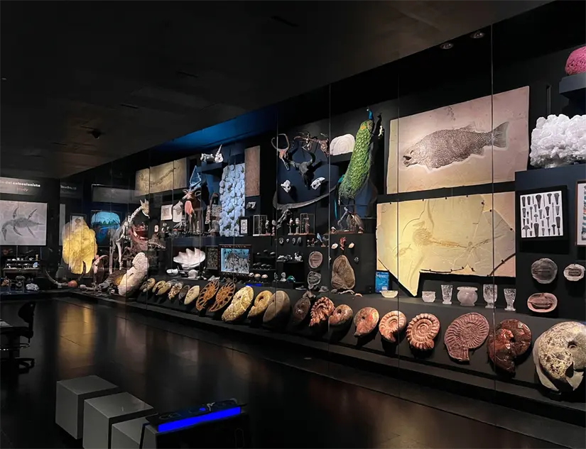 Admira más de 3,500 piezas de arte. Foto: Cortesía.