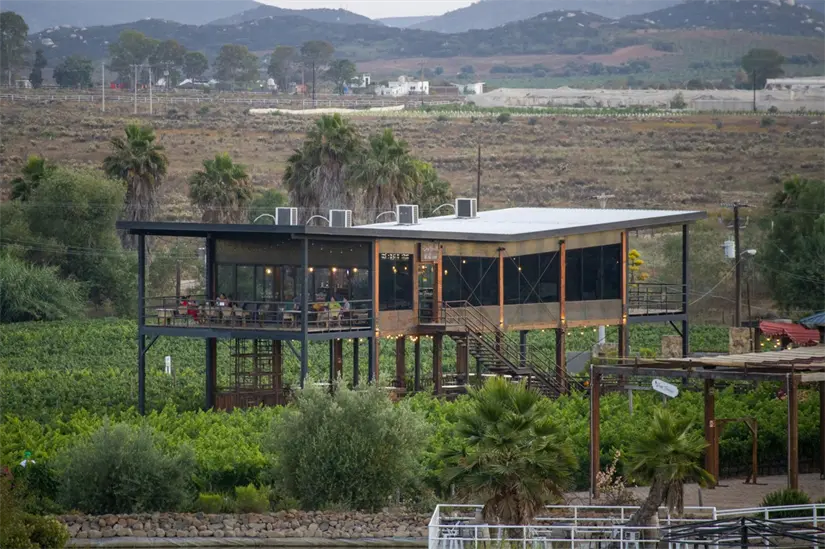 Valle de Guadalupe en Baja California. Foto: Unsplash. 