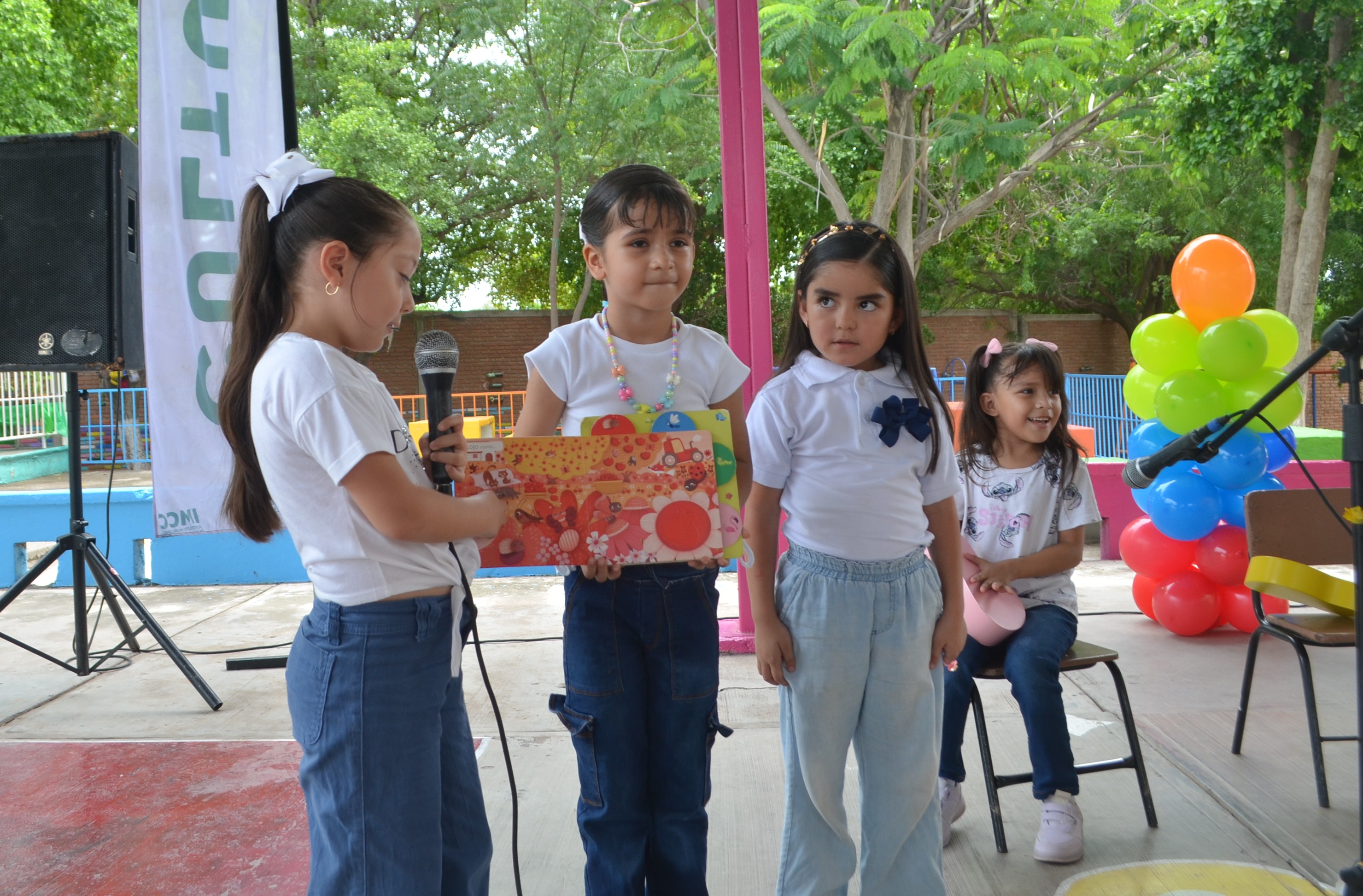 Imagen 12