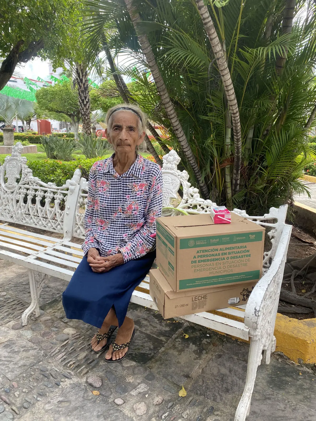 DIF San Ignacio entrega despensas y ropa a familias desplazadas de El Lodazal