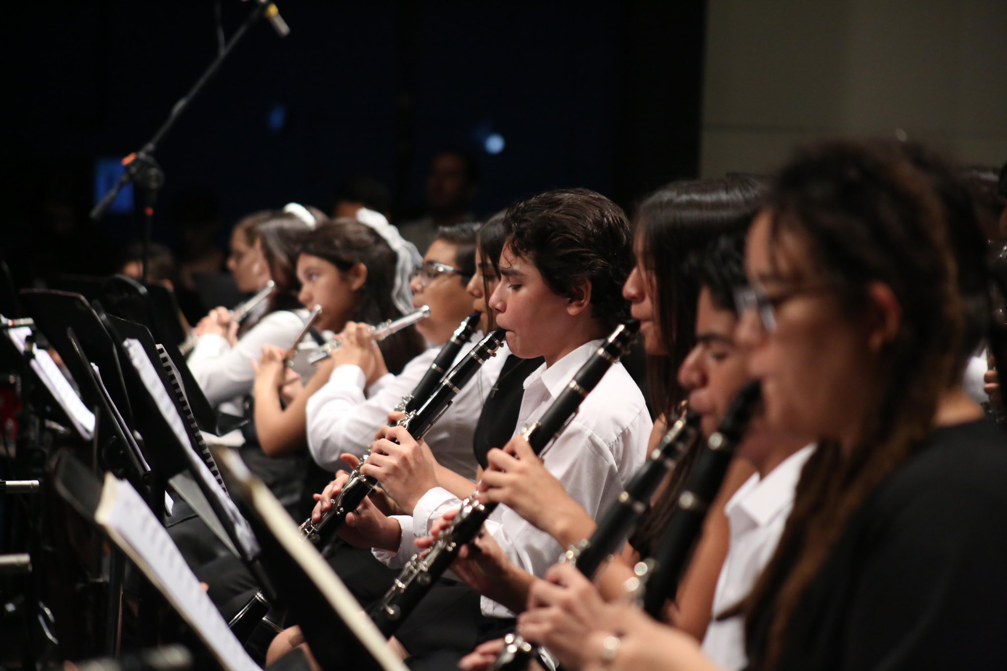 Imagen 4
