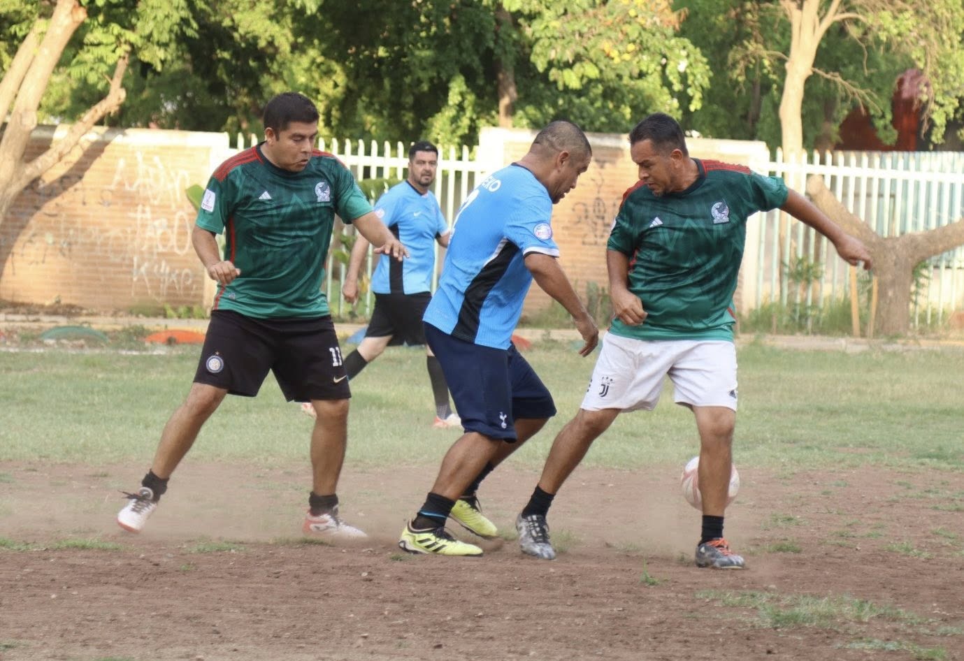Imagen 21