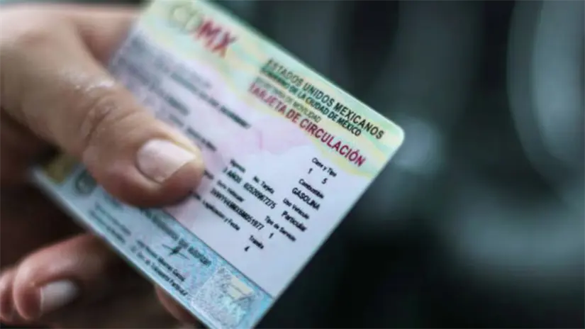 Conoce cómo hacer el refrendo. Foto: Cortesía