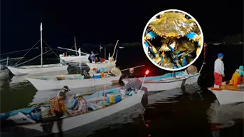Inicia la temporada de captura de jaiba en Sinaloa con altas expectativas