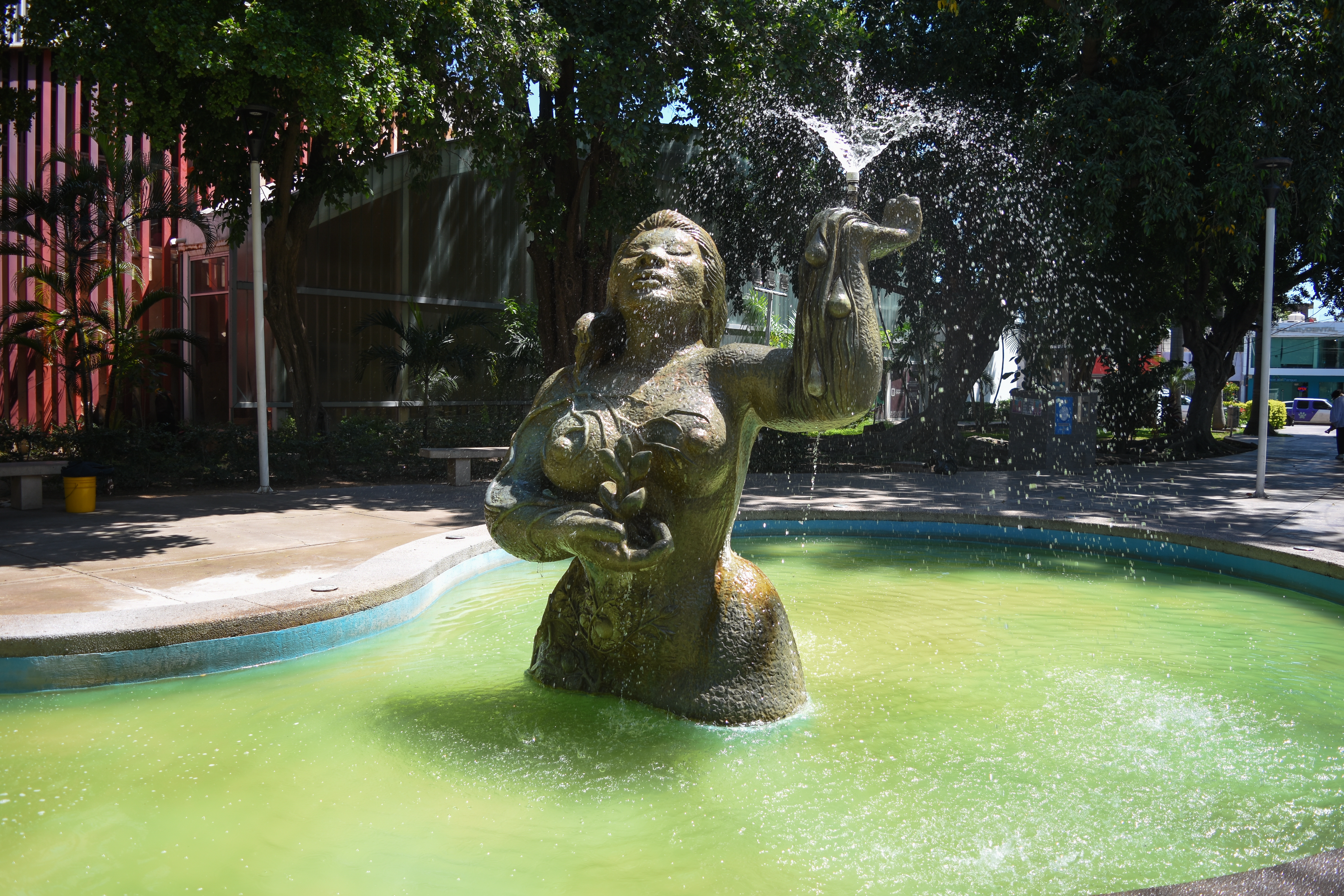 Imagen 4