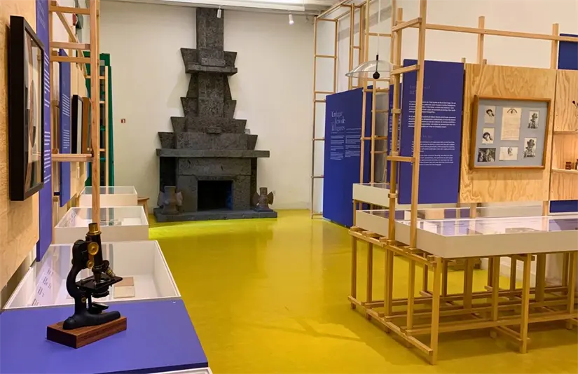 Disfruta de la bonita casa y museo de Frida Kahlo. Foto: Cortesía. 