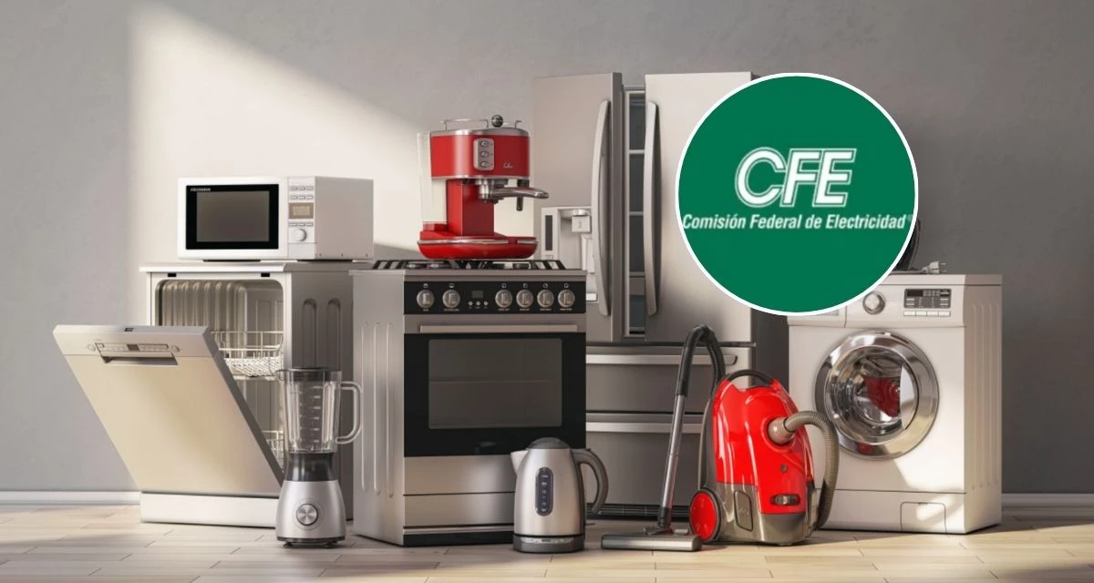 Conoce los pasos para adquirir electrodomésticos de la CFE. Foto: cortesía